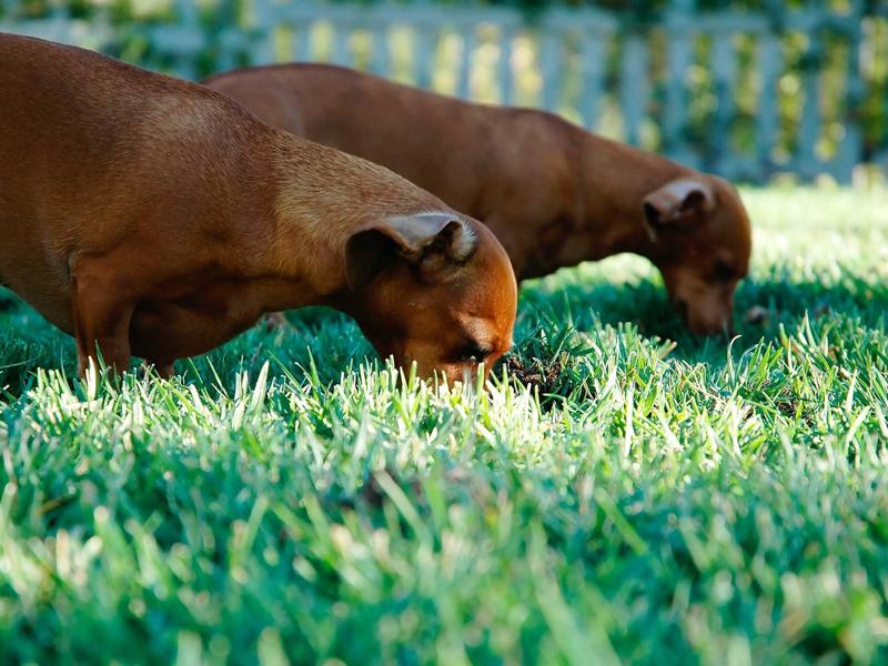 sudoku beginner tips screenshot 5